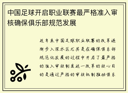 中国足球开启职业联赛最严格准入审核确保俱乐部规范发展